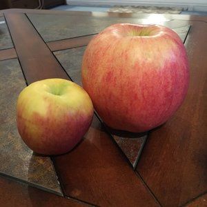 Meet your Posher, Robin